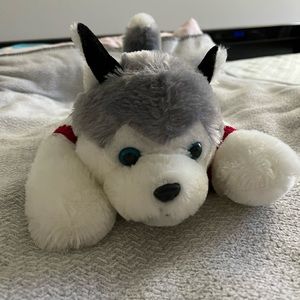 Cute puppy with sweater on